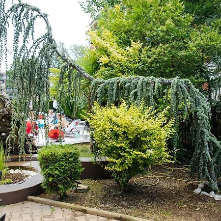 Apartmanhotel K&e And Napospart