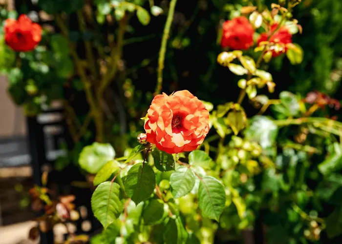 K&e And 3* Słoneczny Brzeg